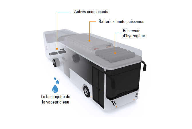 hydrogen bus explanation